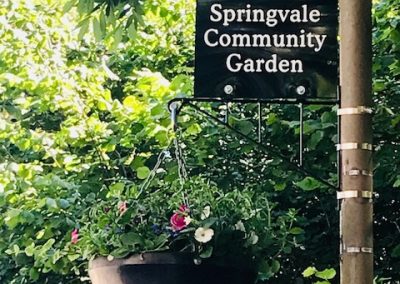 Spingvale Community Garden hanging basket