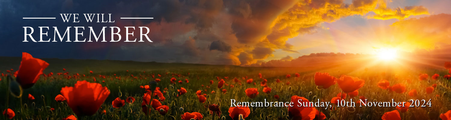 Poppy field for Remembrance Sunday 2024